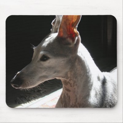 Ears Up!, photo Mouse Mats by RLMdesignes