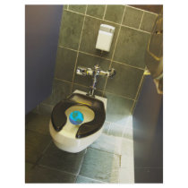 Earth and the Toilet flyers