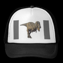 Earth Collections Hats hats
