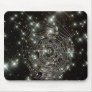 Earth Community Mousepad 5