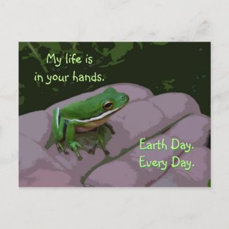 Earth Day Frog Postcard postcard