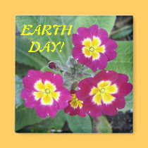 Earth Day magnet magnets
