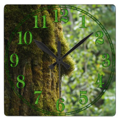 Earth Day Mossy Tree Forest Nature Clock