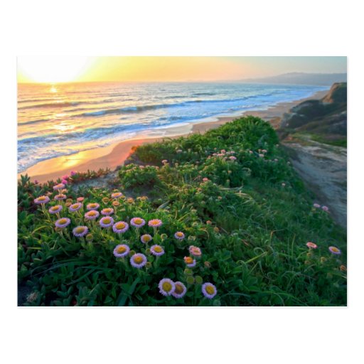 Earth Day Post Card