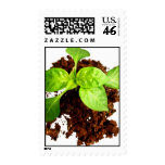Earth Day postage