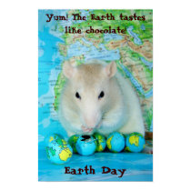 Earth Day Poster posters