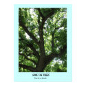 Earth Day Save the Trees Poster posters