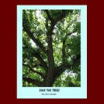 Earth Day Save the Trees Poster posters