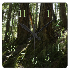 Earth Day Scenic Forest & Sunlight Nature Clock