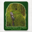 EARTH DAY SQUIRREL Mousepads