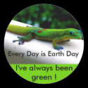 Earth Day  stickers