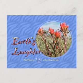 Earth Day Wildflower Postcard postcard