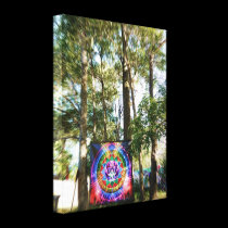 Earth Freq 2011 : Arts & Decor Wrapped Canvas canvas prints