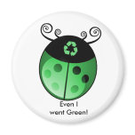 Earth Friendly magnets