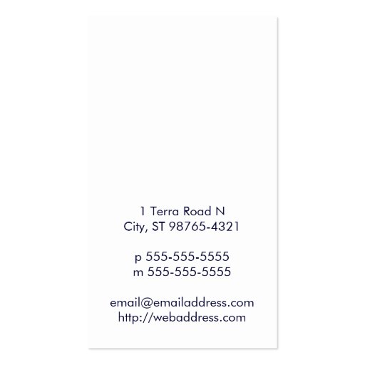 Earth from Space Card Business Card Templates (back side)