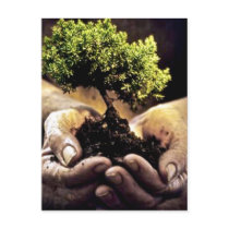 Earth Hands postcards by claire_bridges2006 Earth Hands postcards