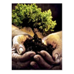 Earth Hands Postcard
