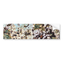 EARTH LANDSCAPE ABSTRACT BACKGROUND WALLPAPER TEXT BUMPER STICKERS