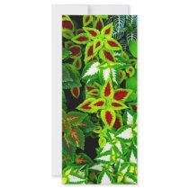 Earth Lover_ rack cards