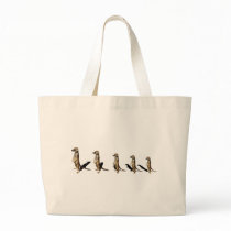 Earth male in row bags