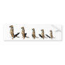 Earth male in row bumper sticker