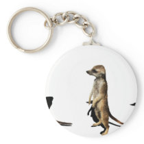 Earth male in row key chains