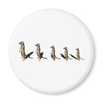 Earth male in row fridge magnet