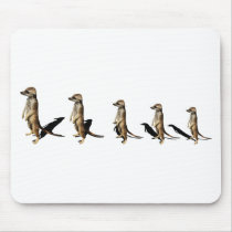 Earth male in row mouse pad