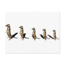 Earth male in row postcards