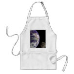 Earth & Moon from Galileo aprons