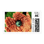 Earth Stamps