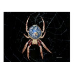 Earth Spider Poster posters