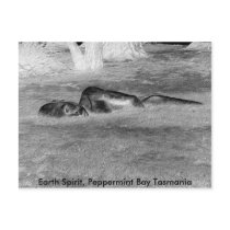 Earth Spirit, Peppermint Bay Tasm... postcards by Wynity Earth Spirit, Peppermint Bay Tasm... postcards