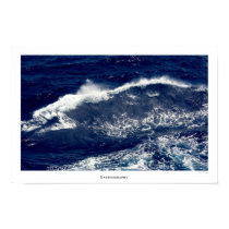 Earthography Oceana 6314 Print