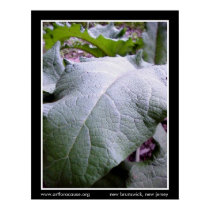earth's lungs posters by benjah earth's lungs posters