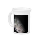 Earth's Moon Drink Pitchers Earth's Moon Drink Pitchers