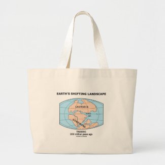Earth's Shifting Landscape (Triassic) Bags