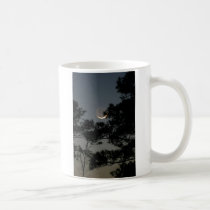 Earthshine Moon mugs