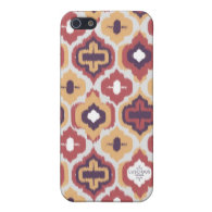 Earthtones Ikat iPhone Cover Covers For iPhone 5