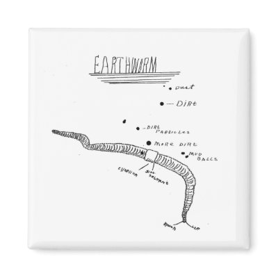 labeled earthworm diagram. tattoo labeled earthworm