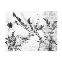 Earthy B/W Postcard