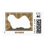 Earthy Havanese Postage Stamps
