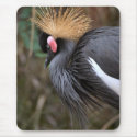 East African Crowned Crane Mousepad