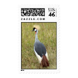 East African Crowned Crane Postage Stamp