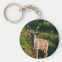 East Cape Kudu key chain