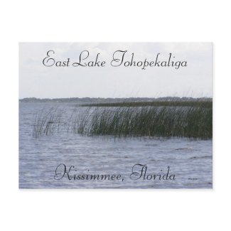 East Lake Tohopekaliga postcard