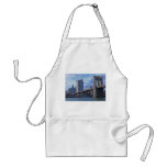 East River: Brooklyn Bridge & Municipal Building aprons