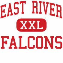 East River - Falcons - High - Orlando Florida t-shirts