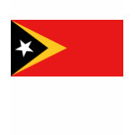 East Timor Flag Map Spaghetti Top