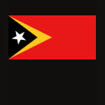 East Timor Flag Map Spaghetti Top